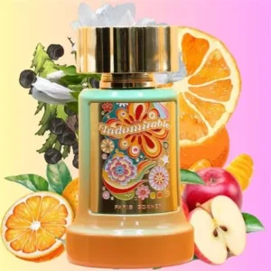 Indomitable Paris Corner